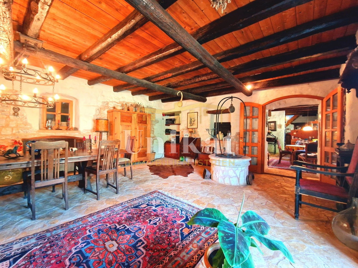 Avtentično posestvo s kamnito hišo in velikim zemljiščem